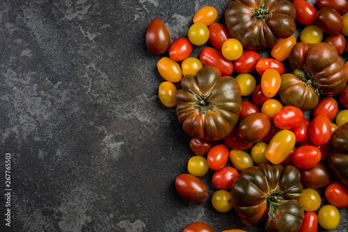 Raw organic colorful tomatoes on dark slate background