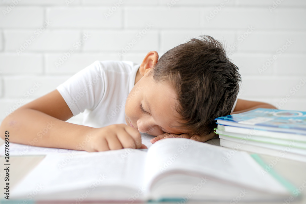 The boy teaches lessons , prepares for school writes and reads textbooks on a white background The boy teaches lessons , prepares for school writes and reads textbooks on a white background