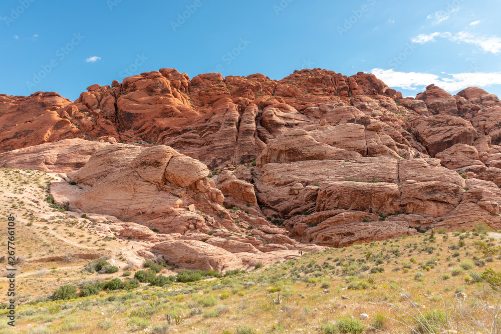 Fototapeta premium red rocks in the desert