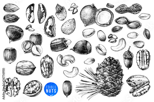 Hand drawn set of edible nuts