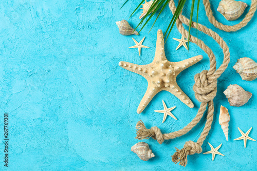 Starfish, seashells, sea ​​rope and palm leaf on two tone background, space for text and top view. Summer vacation backdrop