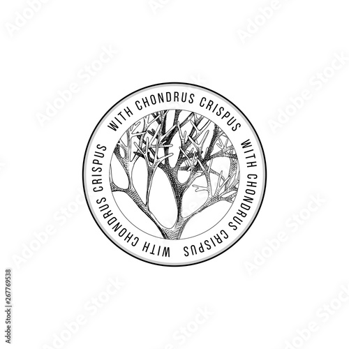 Round emblem with hand drawn chondrus crispus algae