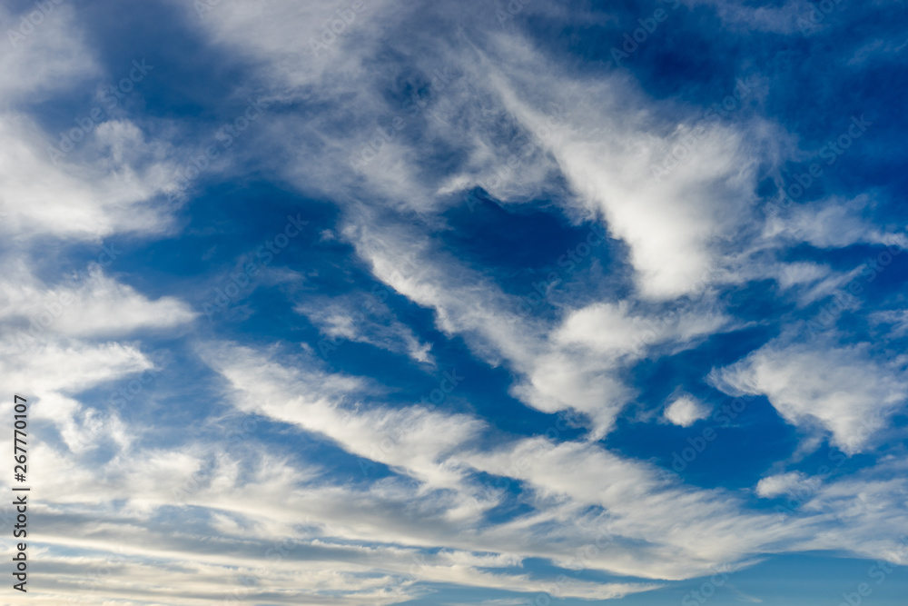 Fototapeta premium white fluffy clouds in the blue sky