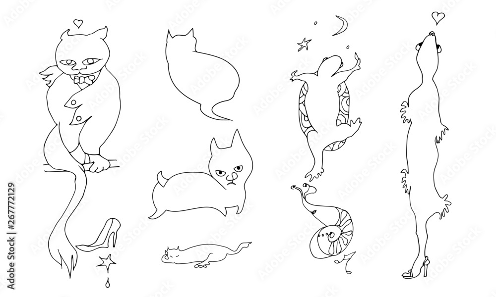 Animals Animals