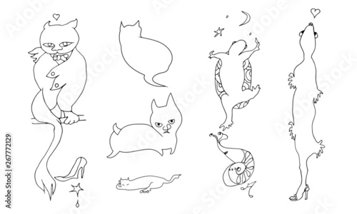 Animals