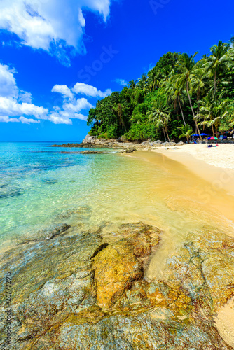 Surin beach  Paradise beach with golden sand  crystal water and palm trees  Patong area on Phuket Island  Tropical travel destination  Thailand