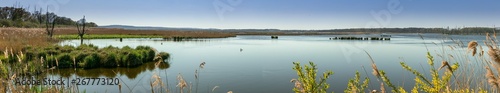 See im Nationalpark Müritz