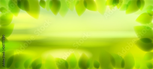 Fresh green leaves and blurred summer nature background beyond, realistic bright vector illustration with copy space for text.