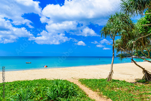 Fototapeta Naklejka Na Ścianę i Meble -  Surin beach, Paradise beach with golden sand, crystal water and palm trees, Patong area on Phuket Island, Tropical travel destination, Thailand