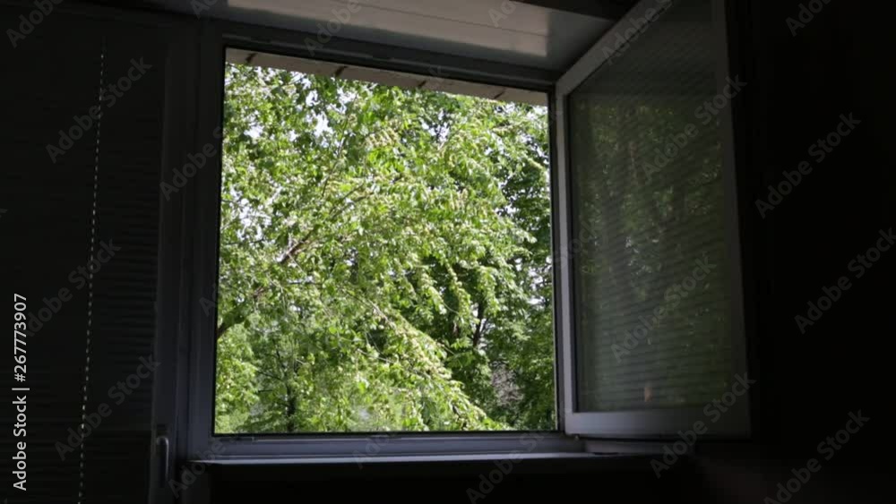 view from the window of green trees view from the window of green trees