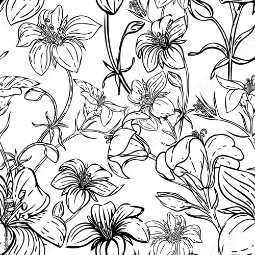 Wallpaper Mural Seamless pattern with simple flowers. Graphic elements drawn with ink. Black-and-white graphics for design. Set of hand drawn flowers design elements. Collection of black ink textures, isolated Torontodigital.ca