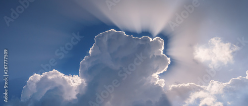Sun shining through the hea...