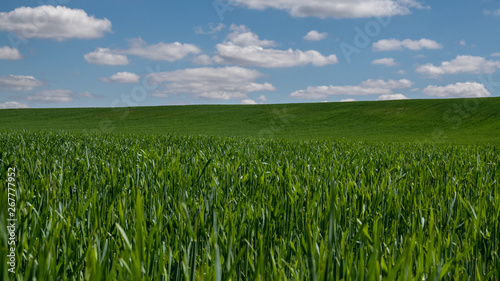   louds in the rural area.