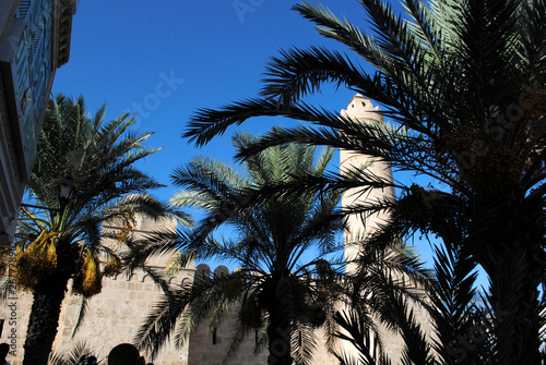 Arab fortress through the palm trees