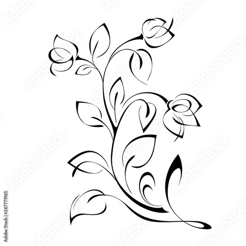 Fototapeta Naklejka Na Ścianę i Meble -  stylized twig with flower buds and leaves in black lines on white background