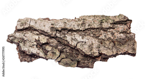 piece of tree bark on isolated white background photo