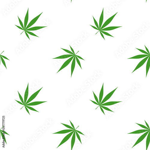 Vector seamless pattern with marijuana leaf  cannabis.