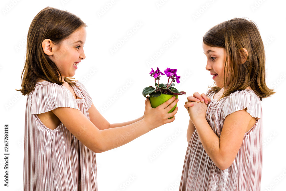 Identical twin girl giving viola flower pot to her sister. Identical twin girl giving viola flower pot to her sister.