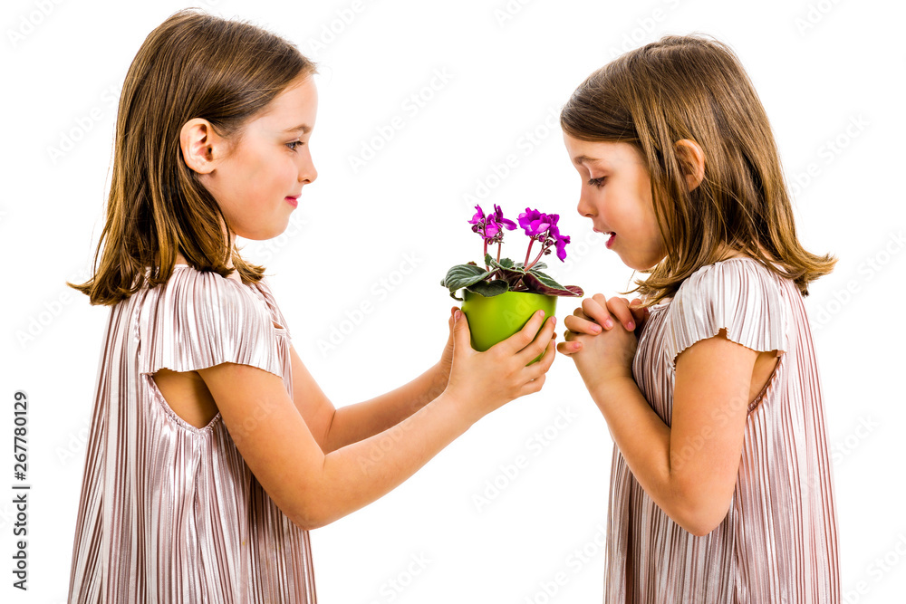 Identical twin girl giving viola flower pot to her sister. Identical twin girl giving viola flower pot to her sister.