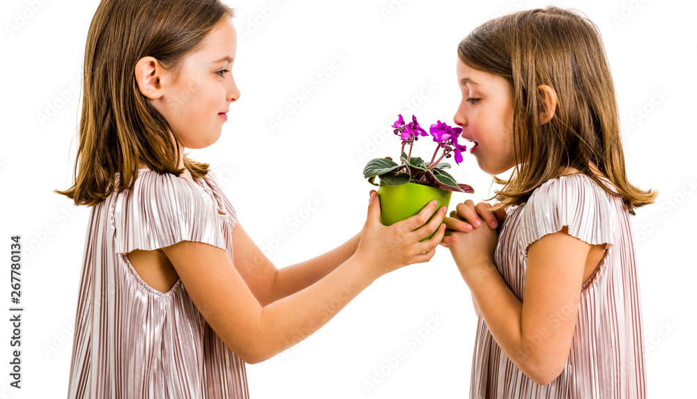 Identical twin girl is smelling flower - gift from sister. Identical twin girl is smelling flower - gift from sister.