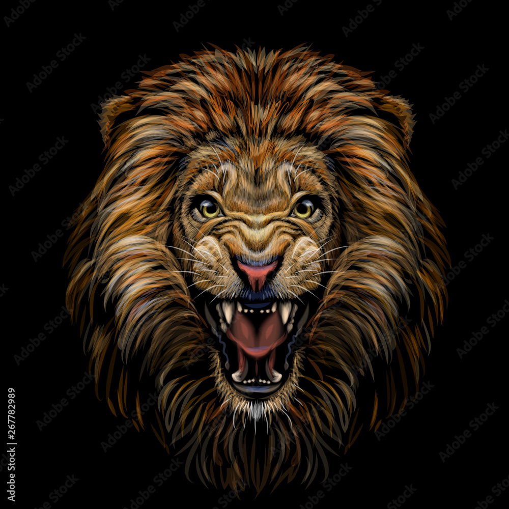 Color portrait of a growling lion on a black background