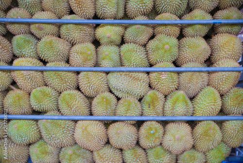 Durian from Thailand, Durian, Durian from Thailand country