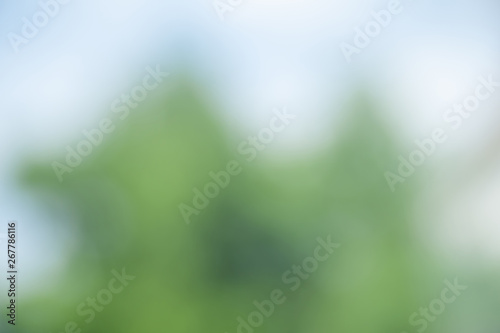 Blurred soft background. Blurred summer background of trees, leaves and flowers. The effect of the defocus of the open aperture.