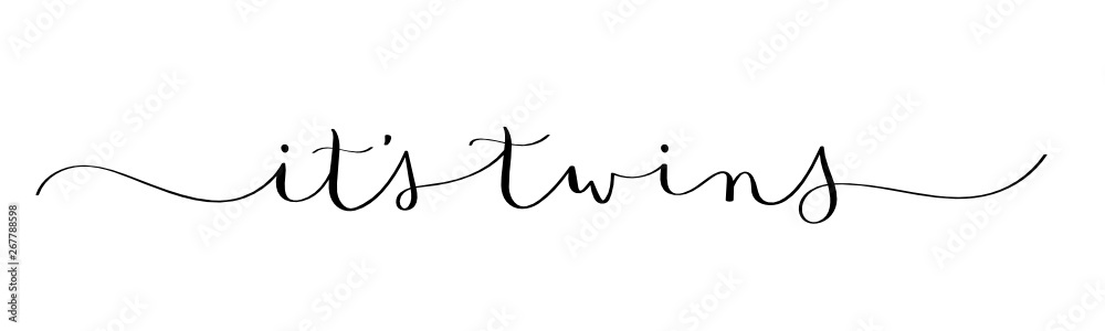IT'S TWINS black vector brush calligraphy banner IT'S TWINS black vector brush calligraphy banner
