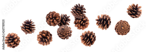 Falling pinecones isolated on white background with clipping path photo