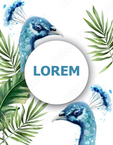 Peacock watercolor Vector card. Blue birds tropic exotic summer templates
