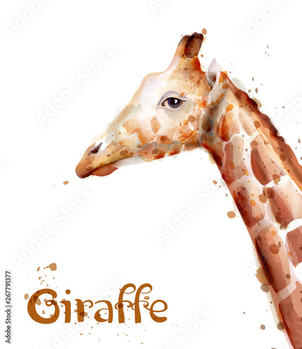 Giraffe Vector watercolor. wildlife safari animals isolated on whites