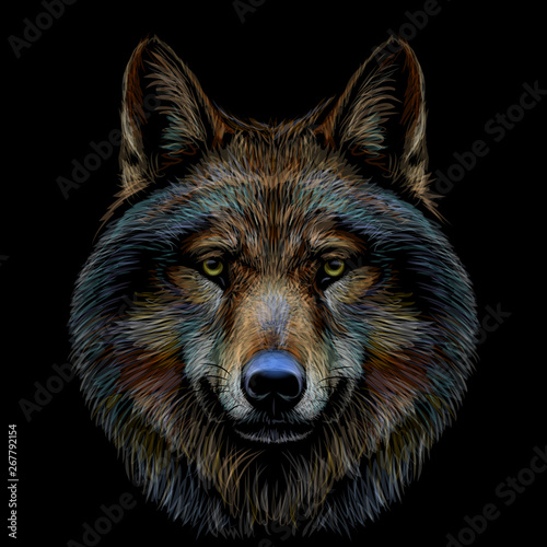 Graphic color portrait of a wolf's head on a black background.