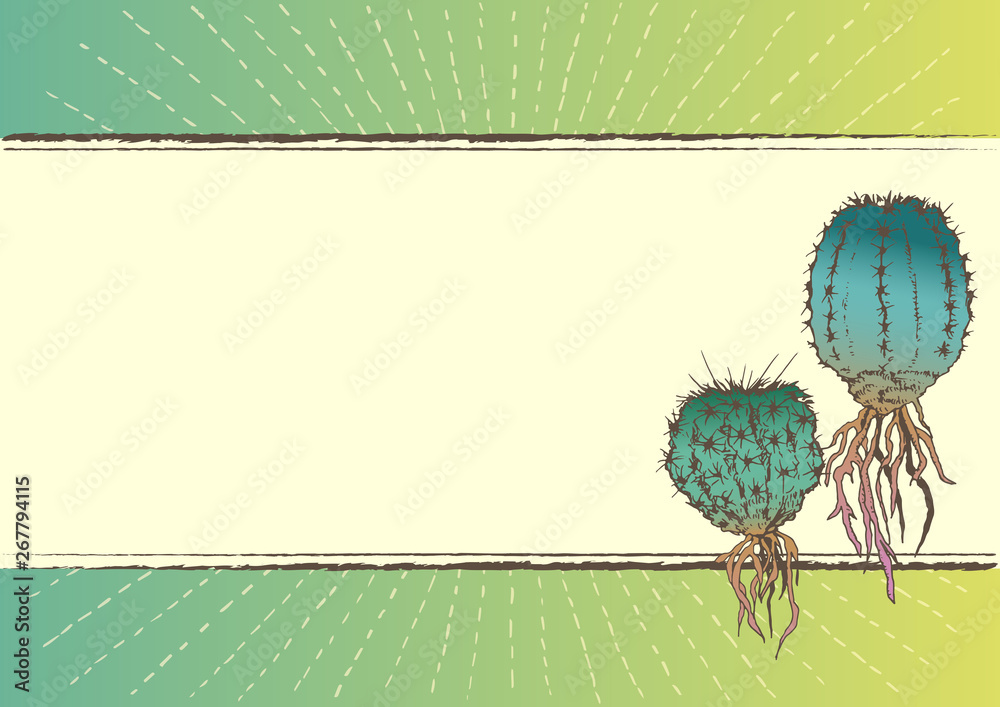 多肉植物とサボテンのイラスト フレーム 素材 緑色 Stock 벡터 Adobe Stock