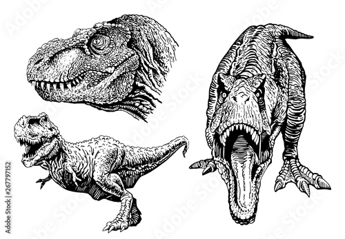 Graphical set of tyrannosauruses isolated on white,vector illustration,tattoo design