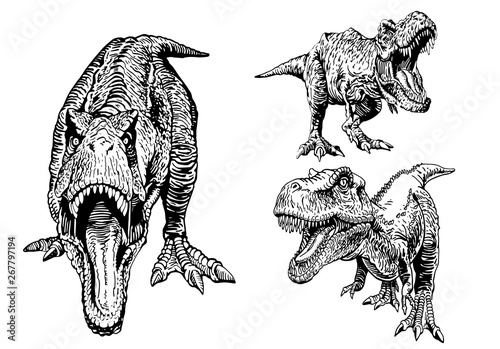 Graphical set of tyrannosauruses isolated on white,vector illustration,tattoo design