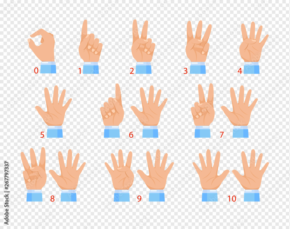 Vector illustration of hands in various gestures, showing different numbers by fingers. Flat cartoon design isolated on transparent background. Vector illustration of hands in various gestures, showing different numbers by fingers. Flat cartoon design isolated on transparent background.