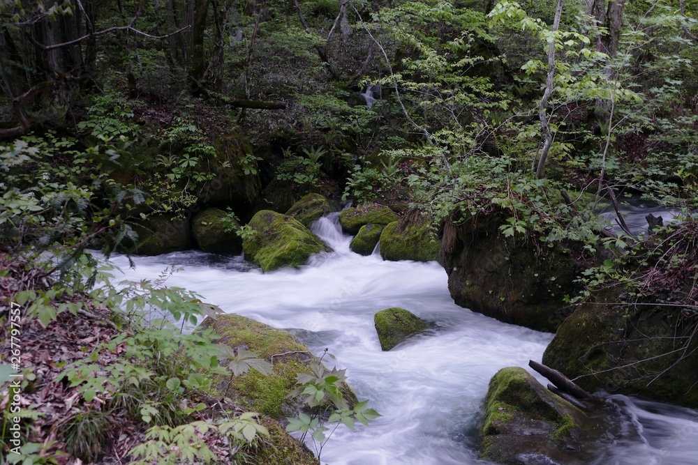 Obraz premium 《奥入瀬渓流》青森県十和田市