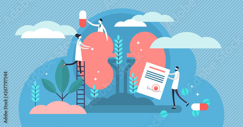 Nephrology vector illustration. Flat tiny kidney healthcare persons concept