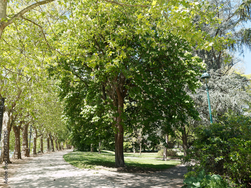 Les parcs de Vichy. Sentier de promenade, route thermale sous les platanes au bord du lac d'Allier  photo