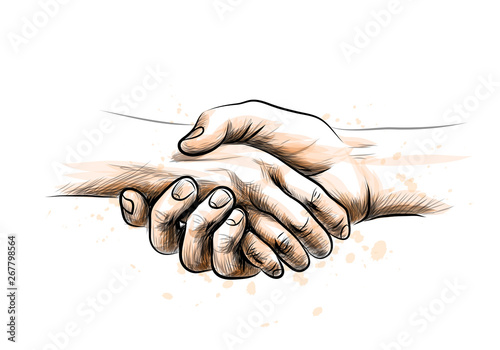 Human hands are joined by a handshake in a gesture of agreement. Sketchy vector illustration on white background with splashes of watercolor.