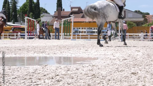HORSE JUMP COMPETITION