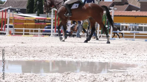 HORSE JUMP COMPETITION