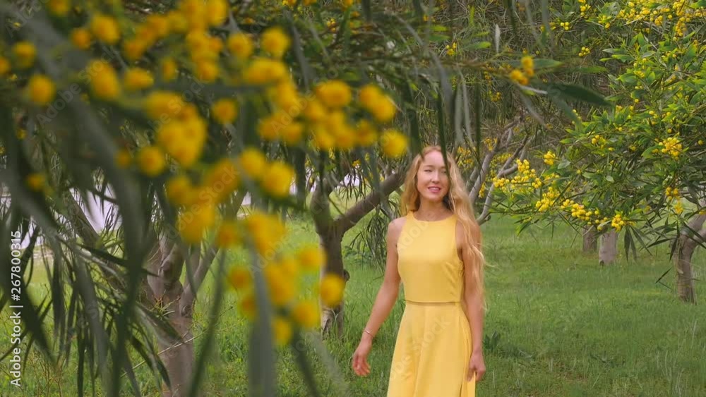 Young beautiful smiling woman in spring Australian Golden wattle trees.