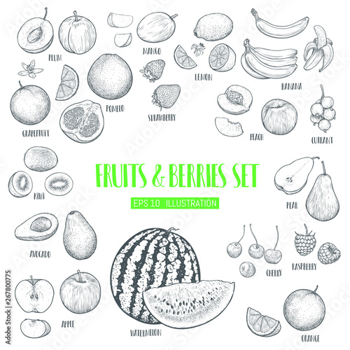 Hand drawn fruits and berries set.  Template for your design works. Engraved style vector illustration.