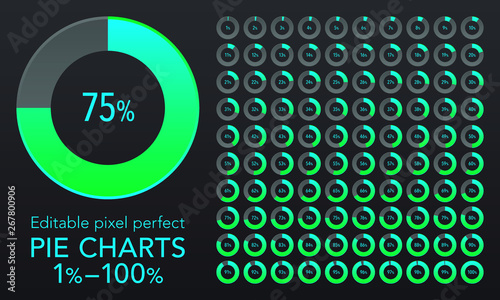 Set of pie chart infographic elements, 1-100%.