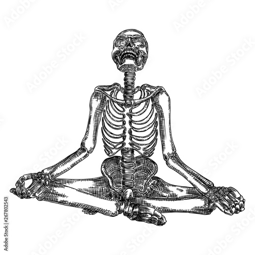 Human skeleton in yoga meditation or Lotus position with skull thrown back. Halloween element. Vector