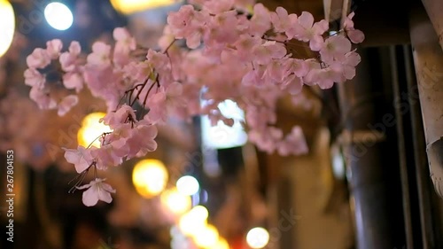 Tokyo, Japan Memory lane piss alley with cherry blossom sakura decorations focus rack or shift at night in Shinjuku area of city closeup in slow motion photo