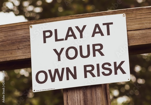 Play at Your Own Risk © Hollie