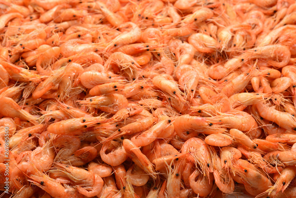 Tasty fresh shrimps as background. Tasty fresh shrimps as background.