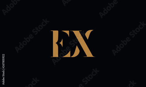 EX logo design template vector illustration